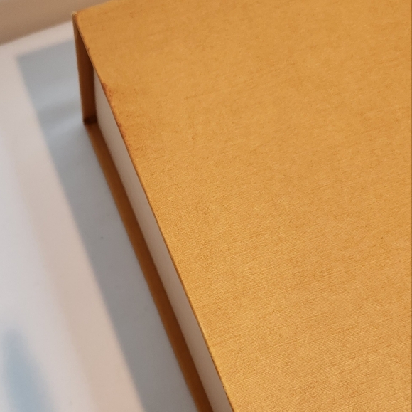 LOUIS VUITTON NEVERFULL BOX 18.5"×13.65"×3" magnetic closure hard struct… - Picture 8 of 9